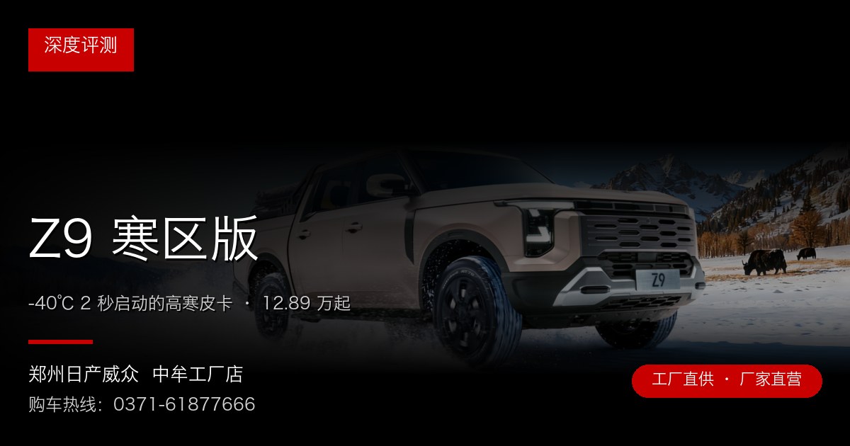 Z9 寒区版 - 郑州日产威众中牟工厂店